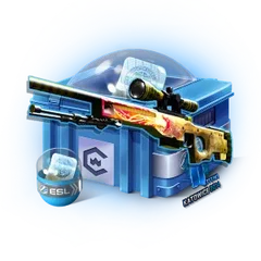 Mega Boy
